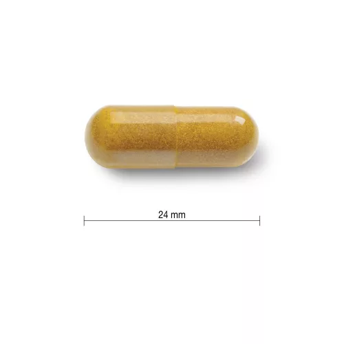 JAMIESON Kurkuma 550mg kapszula (60db)