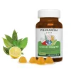 PRANAROM Aromaforce Junior immunerősítő gumivitamin (60db)